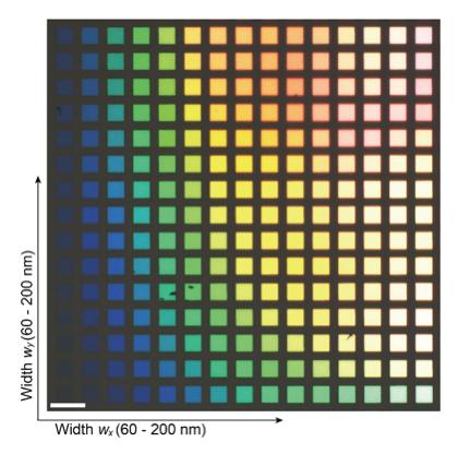 Fig.1 Bright-field Optical Microscope Image