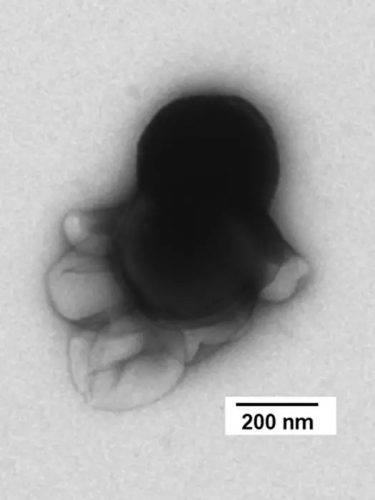 TEM image of the nanorobot