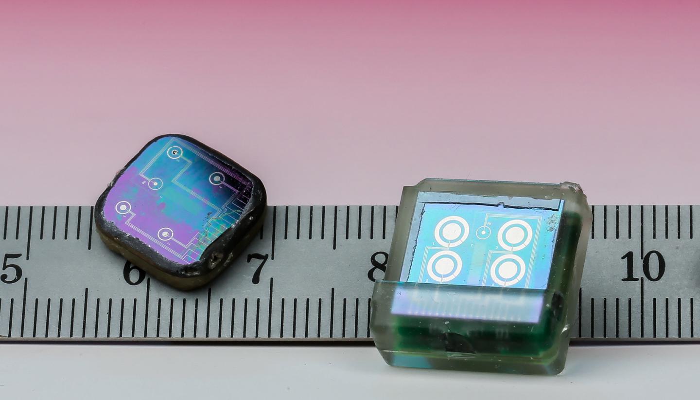Biosensing Chip