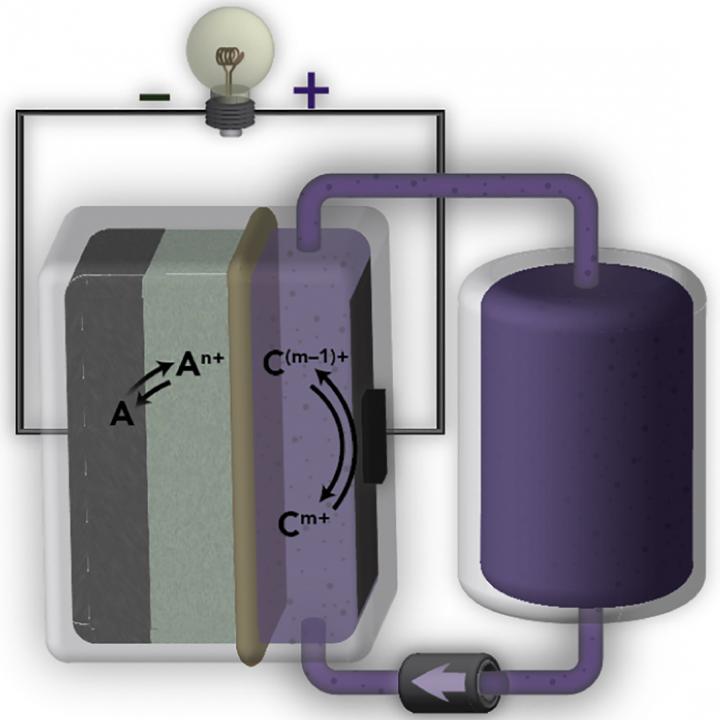 AquaPIM Schematic