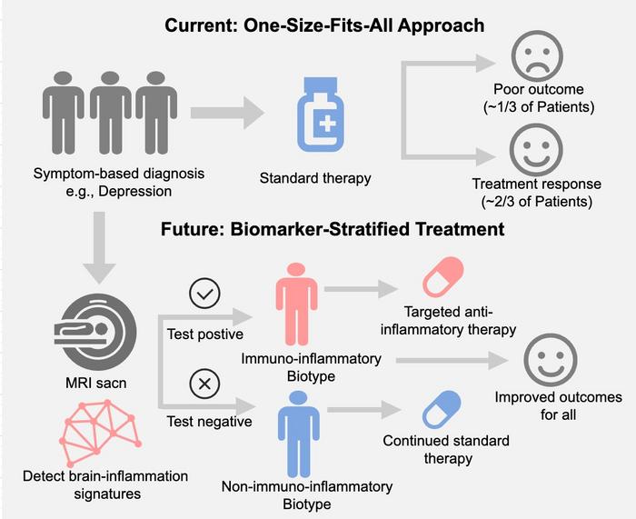 Identification and Validation of Immuno-Inflammatory Neuroimaging Markers Across Major Psychiatric Disorders