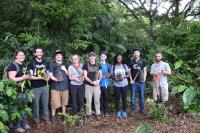 Tree Planting
