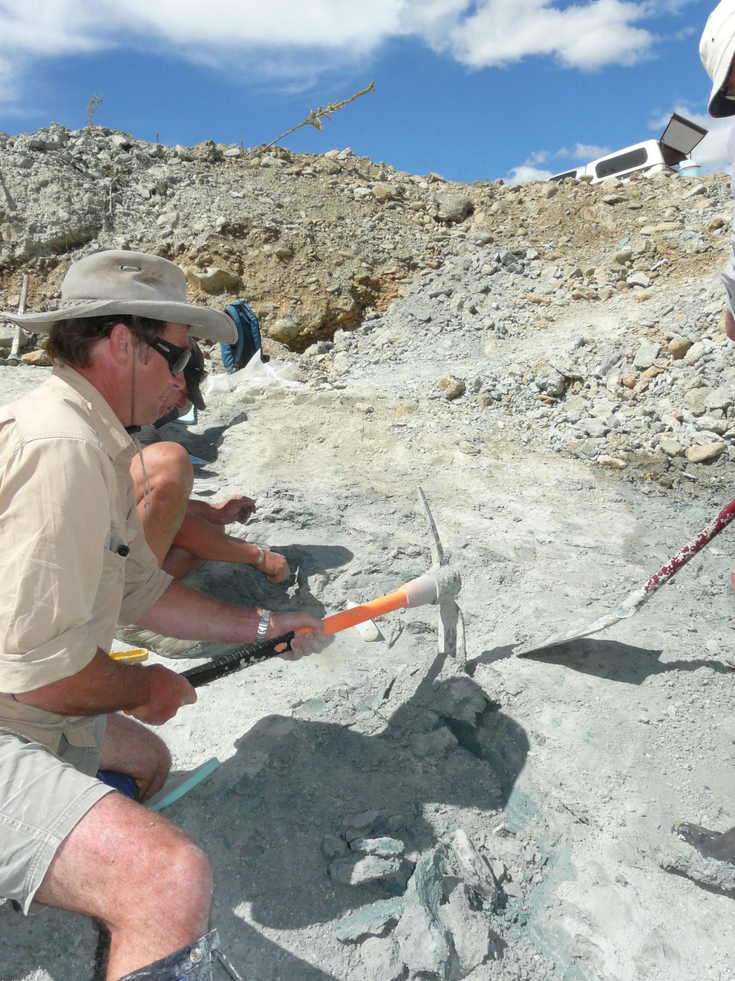 At the Dig Site