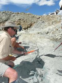At the Dig Site