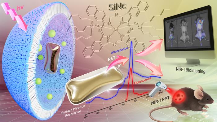 Melanoma therapy graphic