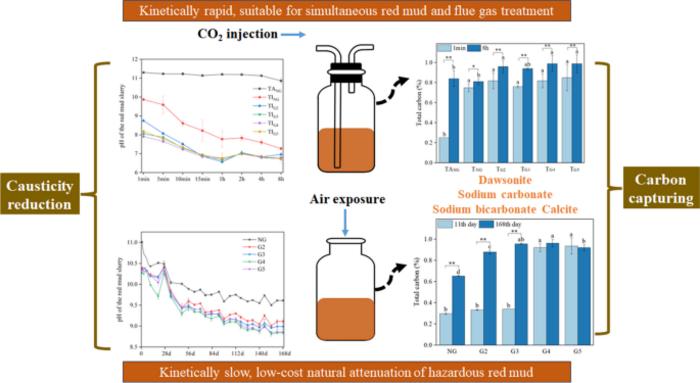 Insights into active and passive carbon sequestration and causticity reduction in hazardous red mud slurry