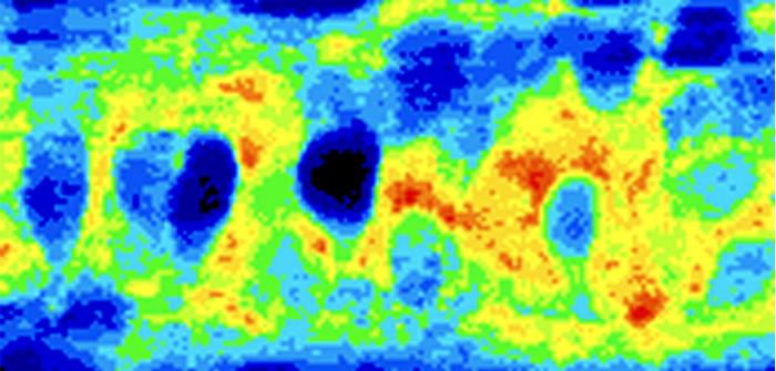 Image_dark cells