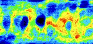 Image_dark cells