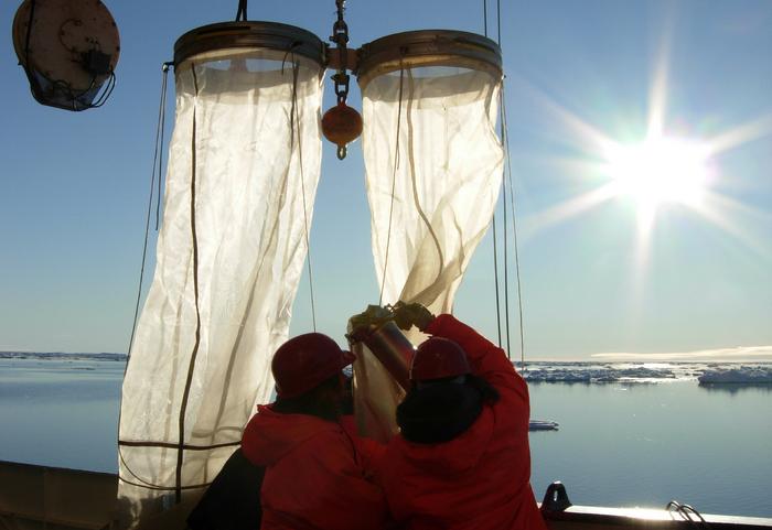 Deployment of the Bongo net during ARK-XXV/2