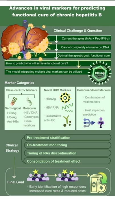 Viral Biomarkers Guide Personalized Functional Cure Strategies for Chronic Hepatitis B