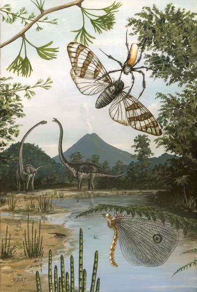Orb Weaver Spider of the Jurassic
