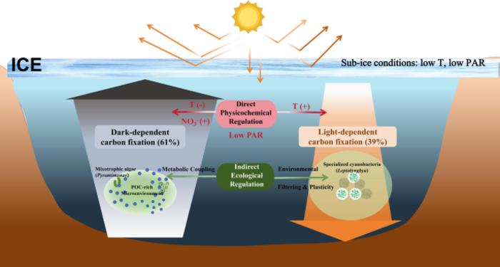 Microbial inorganic carbon fixation characteristics in the largest saline lake of China during the ice-covered period