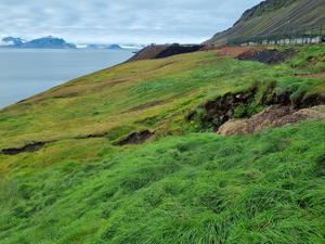 Human Activity Facilitating Alien Species Establishment in the Arctic
