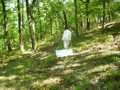 Dragging for Ticks