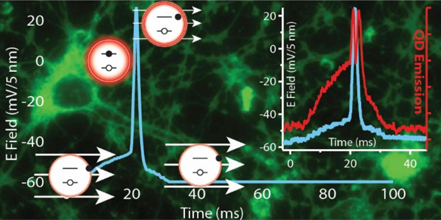 Luminescent Nanoparticles