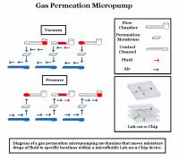 How the Micropump Works