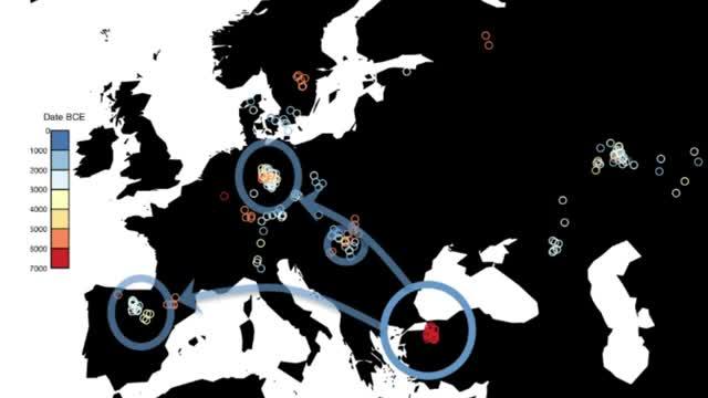 Ancient Genomes 