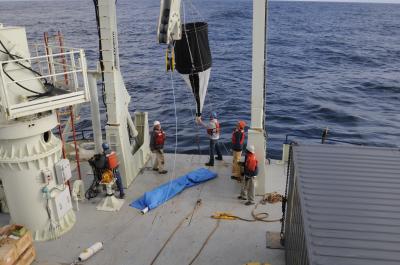 Sediment Trap