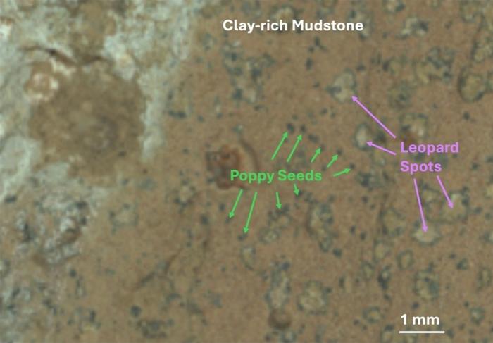 jbishop-martian-minerals-picture2-final