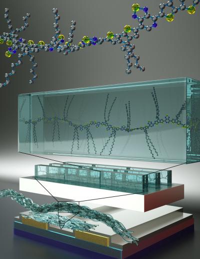 Illustration of Semiconducting Polymer Chains