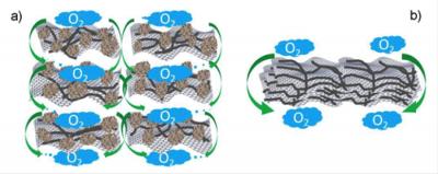 Image of Carbon-Based Catalyst