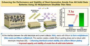 [1] Enhancing the Performance and Stability of Next-Generation Anode-Free All-Solid-State Batteries Using 2D Molybdenum Disulfide Thin Films