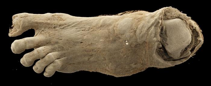 Egyptian mummy foot
