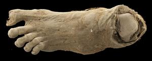 Egyptian mummy foot