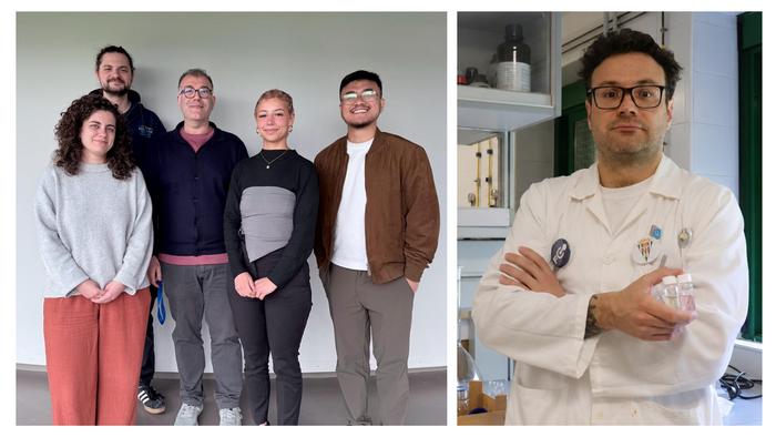 The researcher team