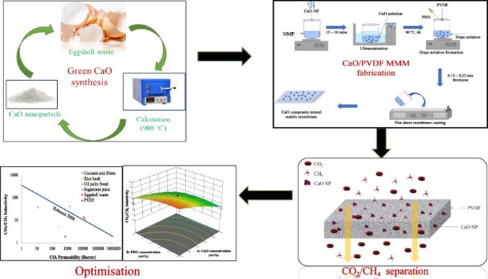 Upcycling eggshell waste into CaO-enhanced PVDF mixed matrix membranes for optimized CO2 /CH4 separation