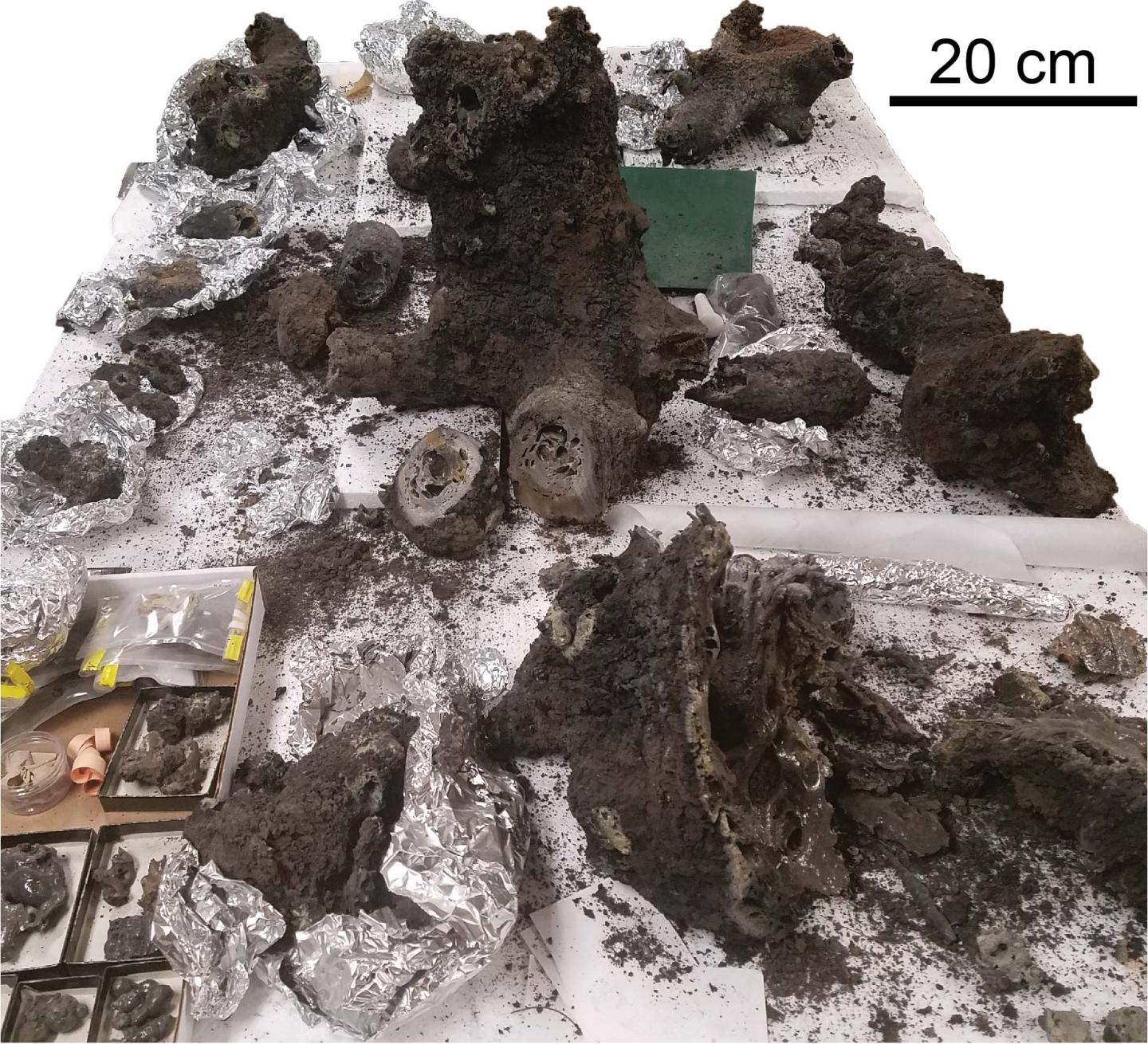 Fulgurite sample