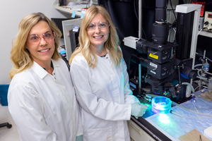 Crystal M. Ripplinger and  Jessica L. Caldwell