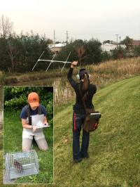 Tracking Muskrat