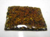 New Shingle