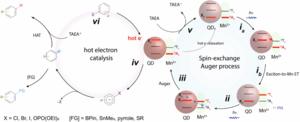 A schematic of proposed reaction mechanism
