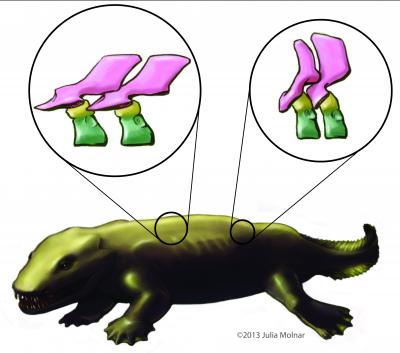 <i>Ichthyostega</i> Tetrapod