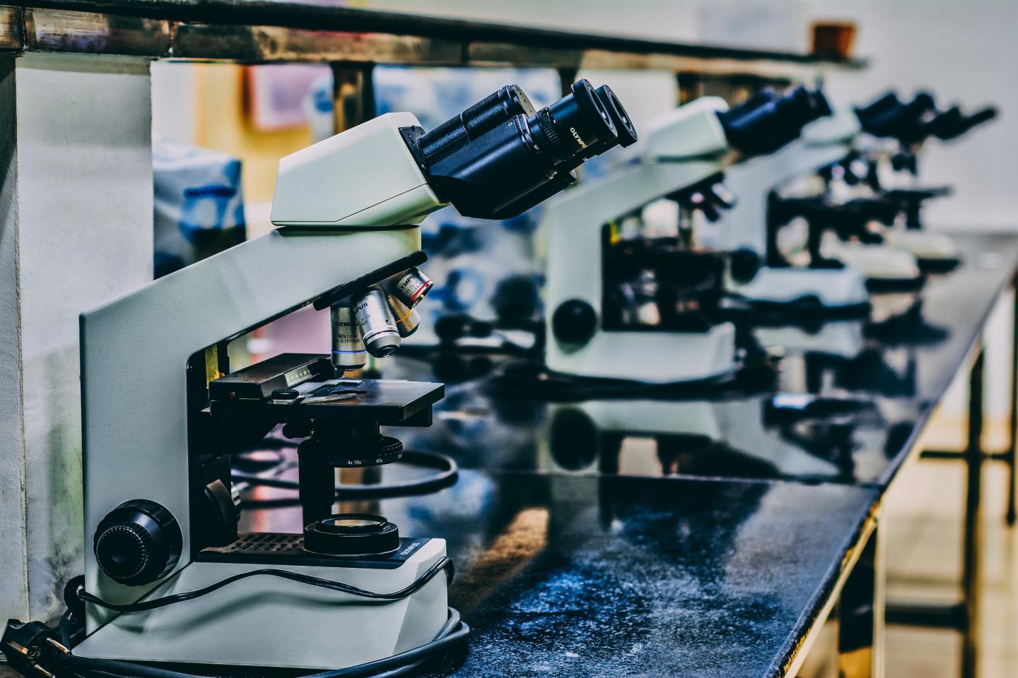 Microscopes in a laboratory