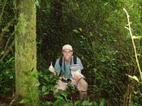 E. coli Bacteria Migrating Between Humans, Chimps in Ugandan Park