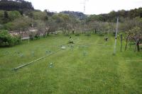 Field