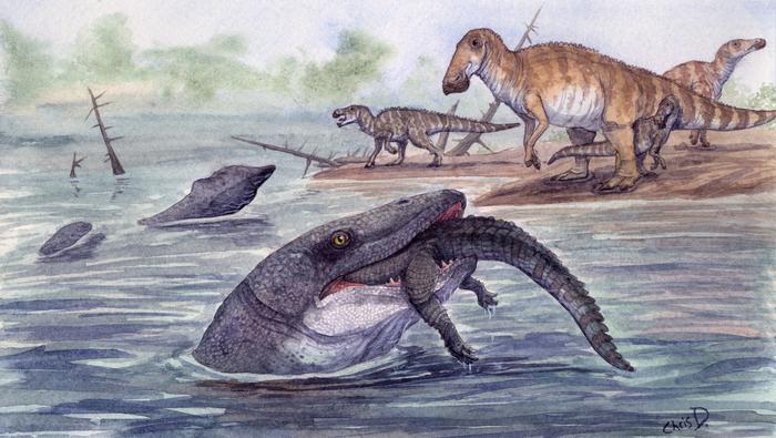 The Hell Creek Mosasaur reconstruction