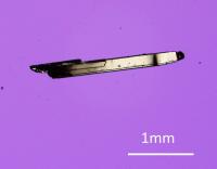 Tungsten Ditelluride Crystal