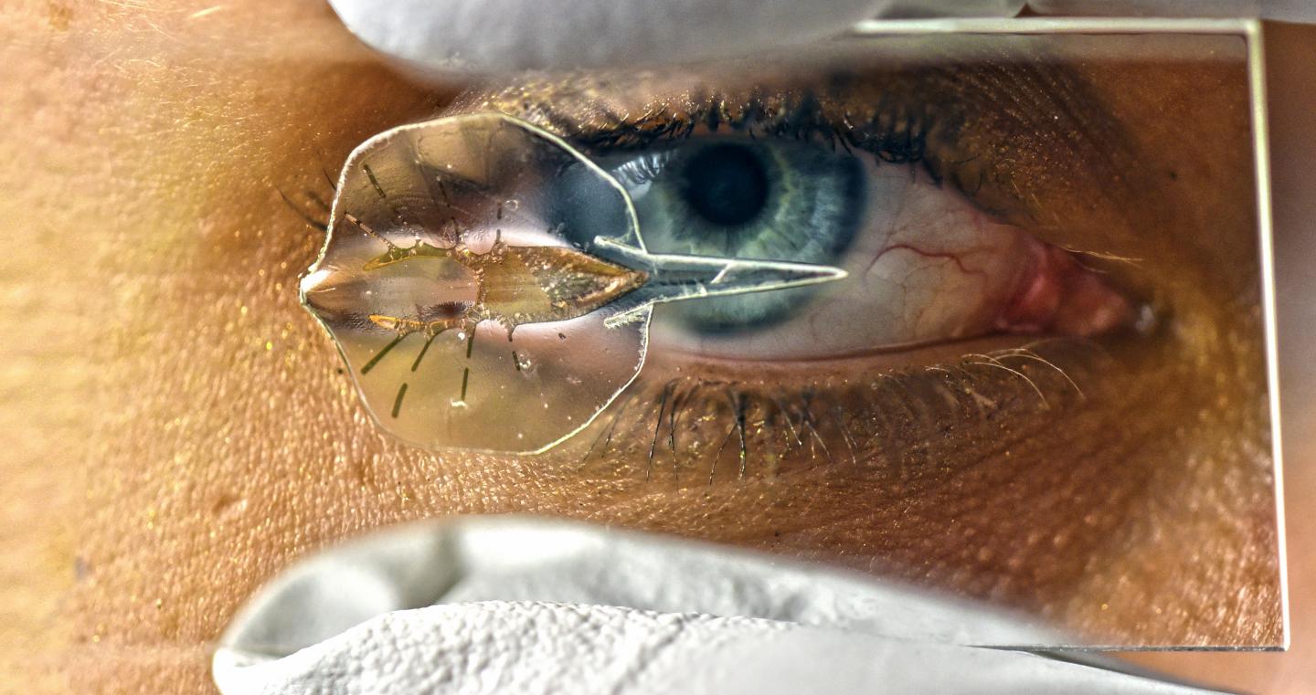 The Debut of a Robotic Stingray, Powered by Light-Activated Rat Cells (6 of 18)