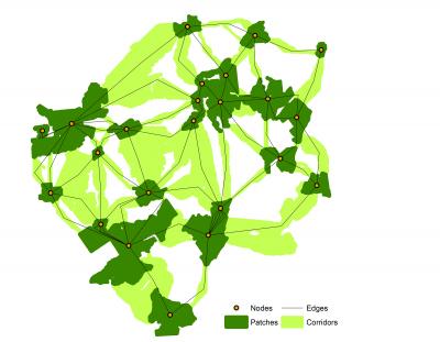 Connectivity Web