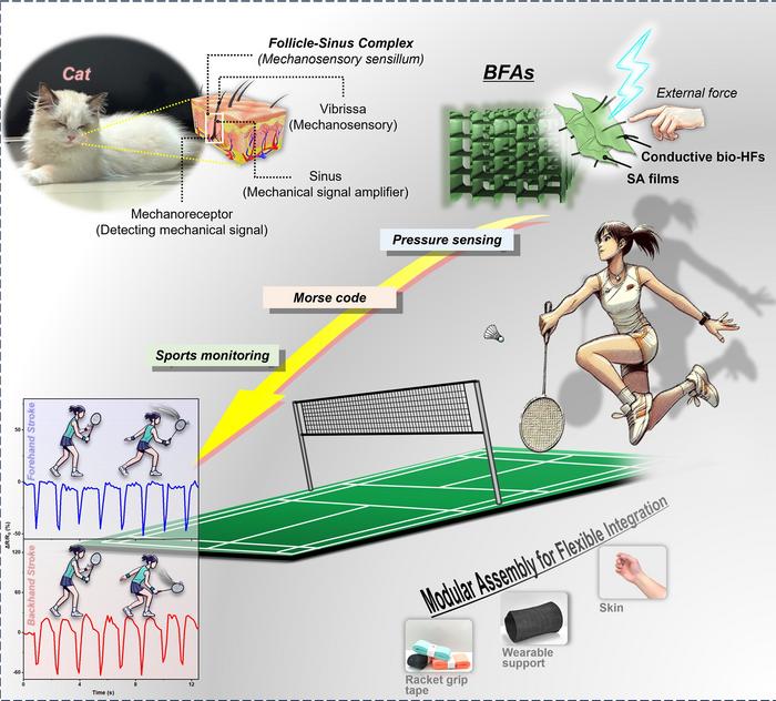 Cat whisker-inspired highly sensitive biomass fiber aerogel-based sensor