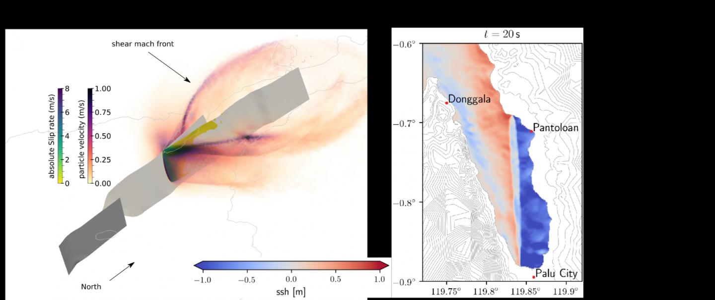 Coupled Tsunami/Earthquake Model