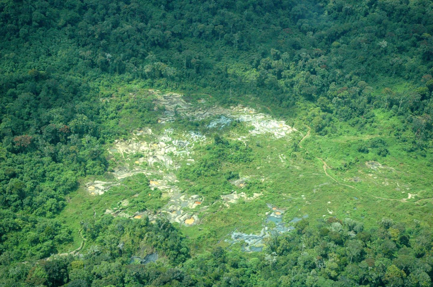 Natural World Heritage Sites Hammered by Human Activities