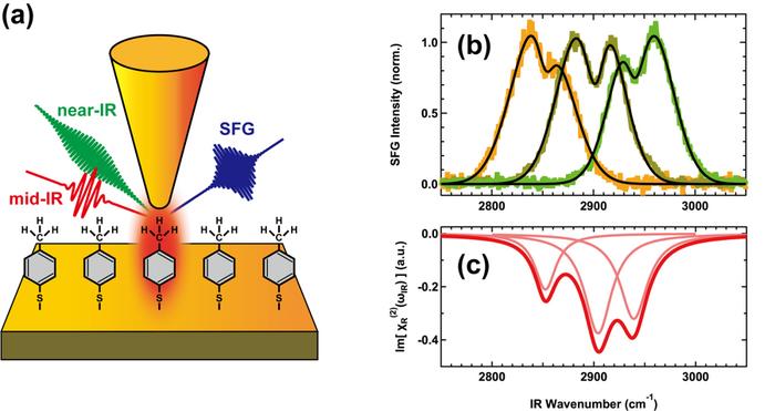 Schematic illustration of tip-enhanced VSFG spectroscopy.