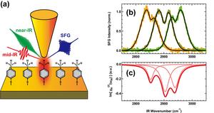 Schematic illustration of tip-enhanced VSFG spectroscopy.