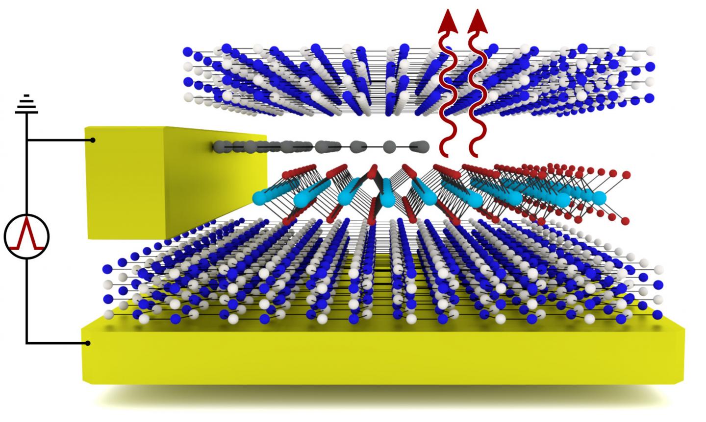 Exciton System