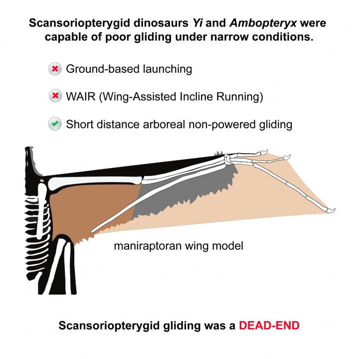 Figure 2: